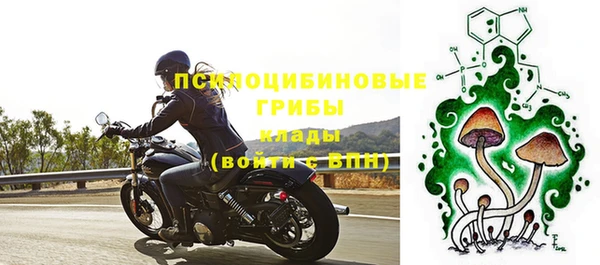 сатива Алексеевка