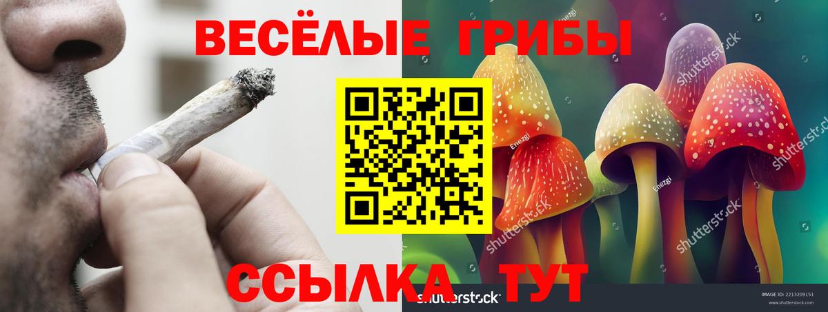 Павлово  Галлюциногенные грибы Psilocybe  Вход с VPN 