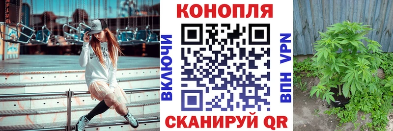 Канабис марихуана Павлово